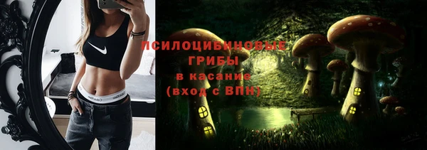 дмт Алексеевка