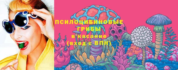 ГАЛЛЮЦИНОГЕННЫЕ ГРИБЫ Алексин